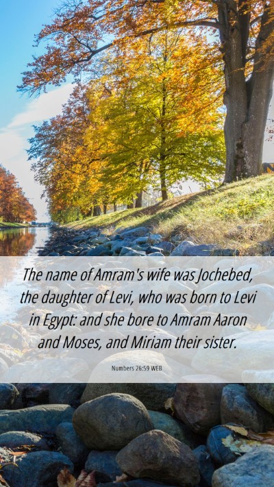 Picture 06 - Numbers 26:59 WEB Mobile Phone Wallpaper - The name of Amram's wife was Jochebed, the - Mobile Bible Verse Wallpaper