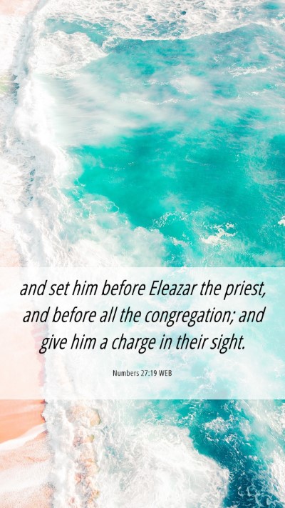 Picture 06 - Numbers 27:19 WEB Mobile Phone Wallpaper - and set him before Eleazar the priest, and before - Mobile Bible Verse Wallpaper