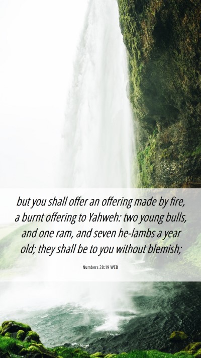 Picture 06 - Numbers 28:19 WEB Mobile Phone Wallpaper - but you shall offer an offering made by fire, a - Mobile Bible Verse Wallpaper