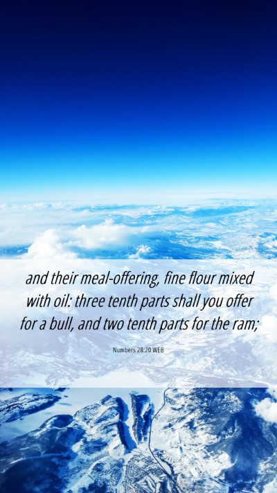 Picture 06 - Numbers 28:20 WEB Mobile Phone Wallpaper - and their meal-offering, fine flour mixed with - Mobile Bible Verse Wallpaper