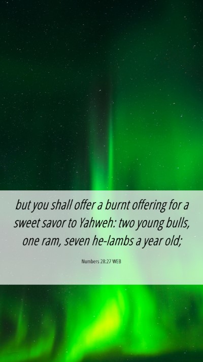 Picture 06 - Numbers 28:27 WEB Mobile Phone Wallpaper - but you shall offer a burnt offering for a sweet - Mobile Bible Verse Wallpaper