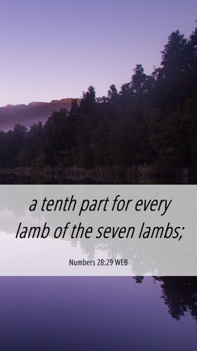 Picture 06 - Numbers 28:29 WEB Mobile Phone Wallpaper - a tenth part for every lamb of the seven - Mobile Bible Verse Wallpaper