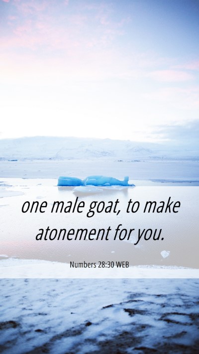Picture 06 - Numbers 28:30 WEB Mobile Phone Wallpaper - one male goat, to make atonement for - Mobile Bible Verse Wallpaper