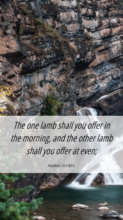 Picture 06 - Numbers 28:4 WEB Mobile Phone Wallpaper - The one lamb shall you offer in the morning, and - Mobile Bible Verse Wallpaper