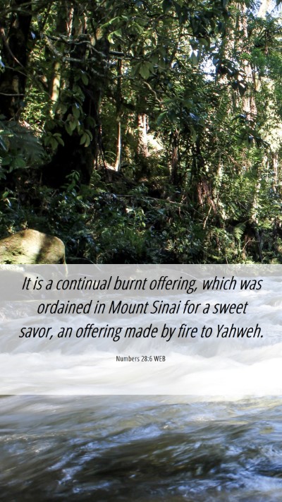 Picture 06 - Numbers 28:6 WEB Mobile Phone Wallpaper - It is a continual burnt offering, which was - Mobile Bible Verse Wallpaper