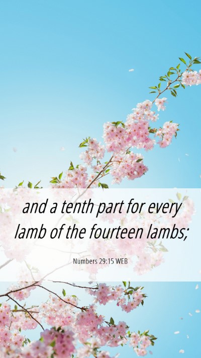 Picture 06 - Numbers 29:15 WEB Mobile Phone Wallpaper - and a tenth part for every lamb of the fourteen - Mobile Bible Verse Wallpaper