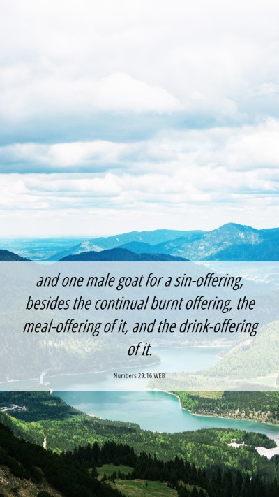 Picture 06 - Numbers 29:16 WEB Mobile Phone Wallpaper - and one male goat for a sin-offering, besides the - Mobile Bible Verse Wallpaper