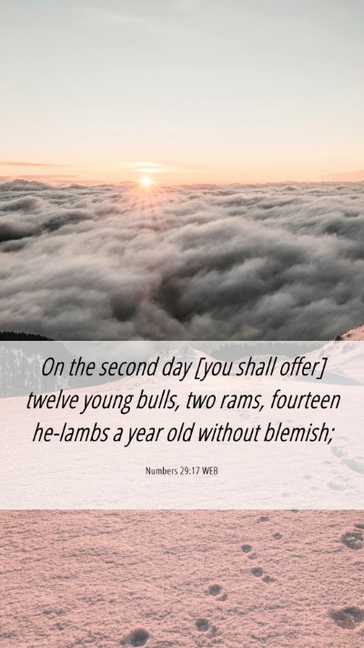 Picture 06 - Numbers 29:17 WEB Mobile Phone Wallpaper - On the second day [you shall offer] twelve young - Mobile Bible Verse Wallpaper
