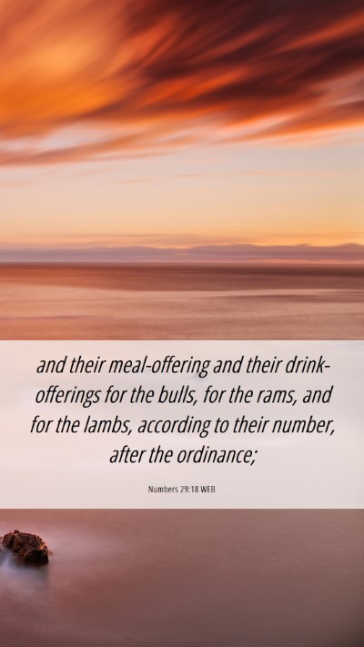 Picture 06 - Numbers 29:18 WEB Mobile Phone Wallpaper - and their meal-offering and their drink-offerings - Mobile Bible Verse Wallpaper