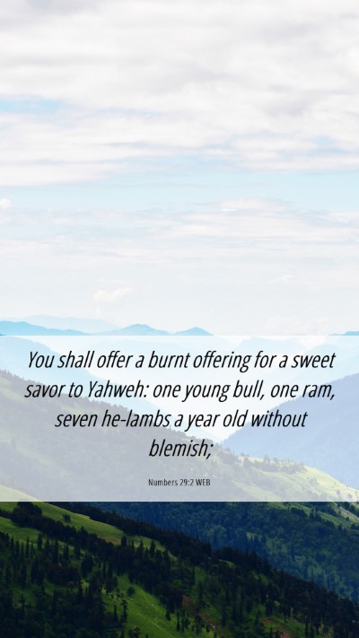 Picture 06 - Numbers 29:2 WEB Mobile Phone Wallpaper - You shall offer a burnt offering for a sweet - Mobile Bible Verse Wallpaper