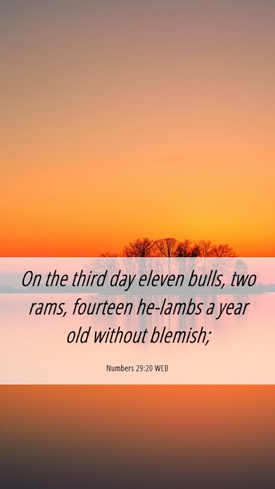 Picture 06 - Numbers 29:20 WEB Mobile Phone Wallpaper - On the third day eleven bulls, two rams, fourteen - Mobile Bible Verse Wallpaper