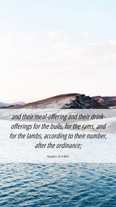 Picture 06 - Numbers 29:33 WEB Mobile Phone Wallpaper - and their meal-offering and their drink-offerings - Mobile Bible Verse Wallpaper