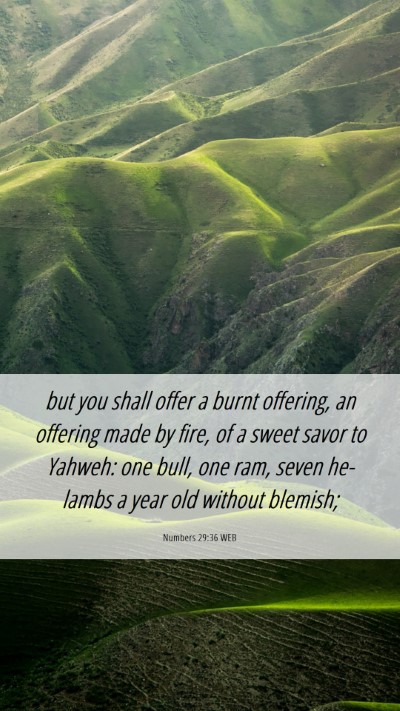 Picture 06 - Numbers 29:36 WEB Mobile Phone Wallpaper - but you shall offer a burnt offering, an offering - Mobile Bible Verse Wallpaper