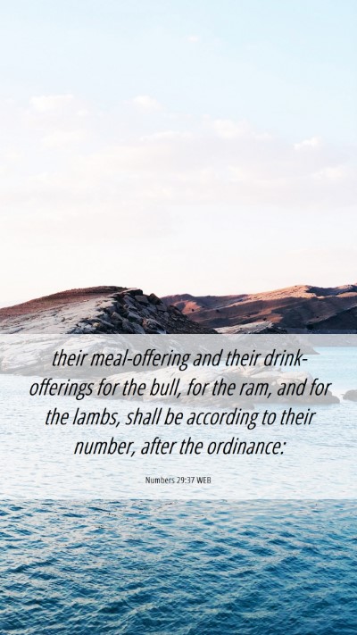 Picture 06 - Numbers 29:37 WEB Mobile Phone Wallpaper - their meal-offering and their drink-offerings for - Mobile Bible Verse Wallpaper