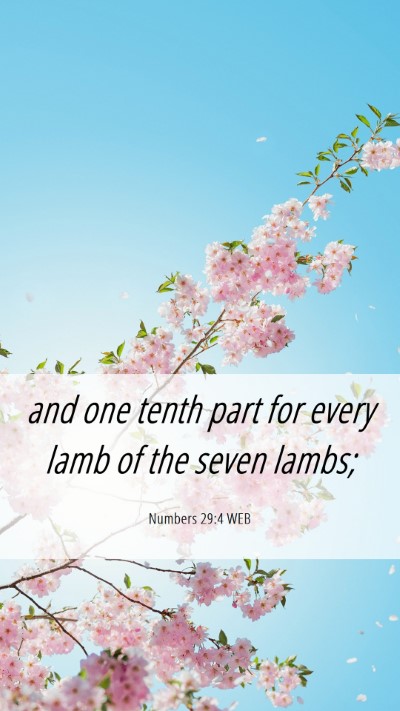 Picture 06 - Numbers 29:4 WEB Mobile Phone Wallpaper - and one tenth part for every lamb of the seven - Mobile Bible Verse Wallpaper