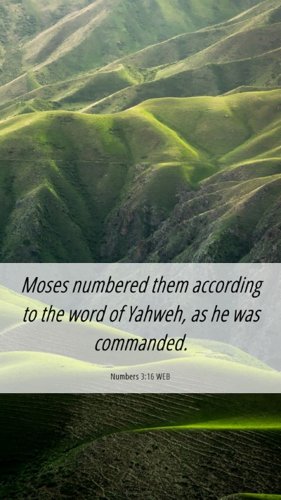 Picture 06 - Numbers 3:16 WEB Mobile Phone Wallpaper - Moses numbered them according to the word of - Mobile Bible Verse Wallpaper