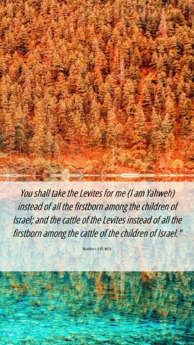 Picture 06 - Numbers 3:41 WEB Mobile Phone Wallpaper - You shall take the Levites for me (I am Yahweh) - Mobile Bible Verse Wallpaper