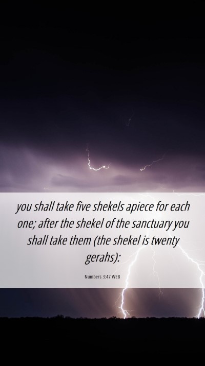 Picture 06 - Numbers 3:47 WEB Mobile Phone Wallpaper - you shall take five shekels apiece for each one; - Mobile Bible Verse Wallpaper
