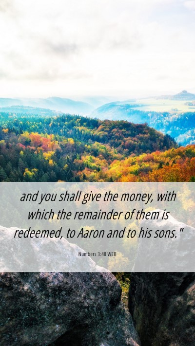 Picture 06 - Numbers 3:48 WEB Mobile Phone Wallpaper - and you shall give the money, with which the - Mobile Bible Verse Wallpaper