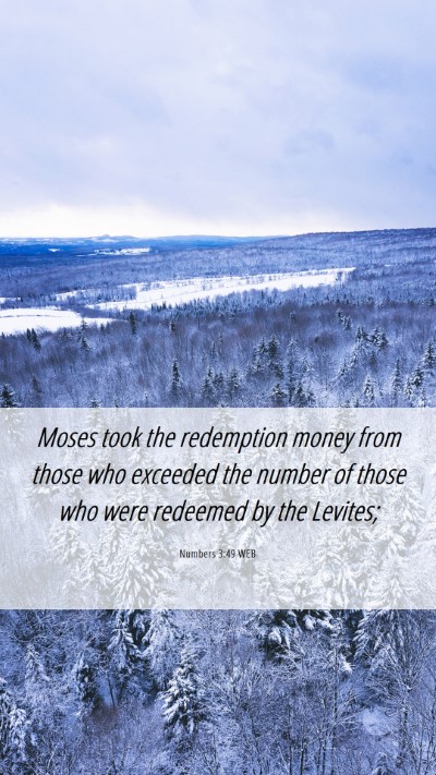 Picture 06 - Numbers 3:49 WEB Mobile Phone Wallpaper - Moses took the redemption money from those who - Mobile Bible Verse Wallpaper