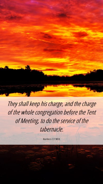 Picture 06 - Numbers 3:7 WEB Mobile Phone Wallpaper - They shall keep his charge, and the charge of the - Mobile Bible Verse Wallpaper