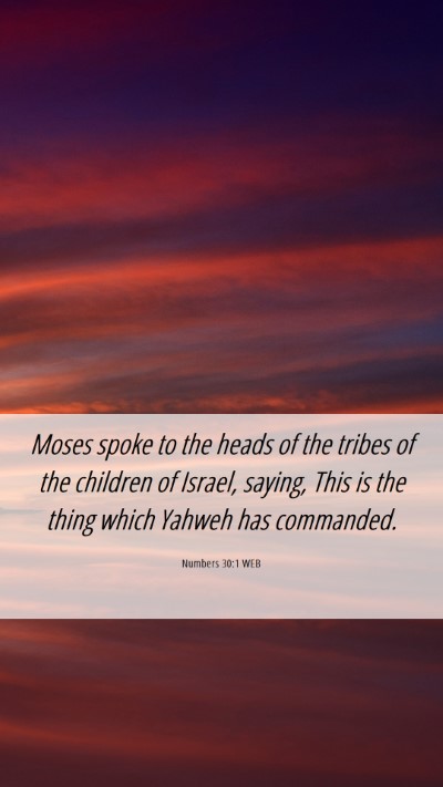 Picture 06 - Numbers 30:1 WEB Mobile Phone Wallpaper - Moses spoke to the heads of the tribes of the - Mobile Bible Verse Wallpaper