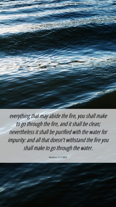 Picture 06 - Numbers 31:23 WEB Mobile Phone Wallpaper - everything that may abide the fire, you shall - Mobile Bible Verse Wallpaper