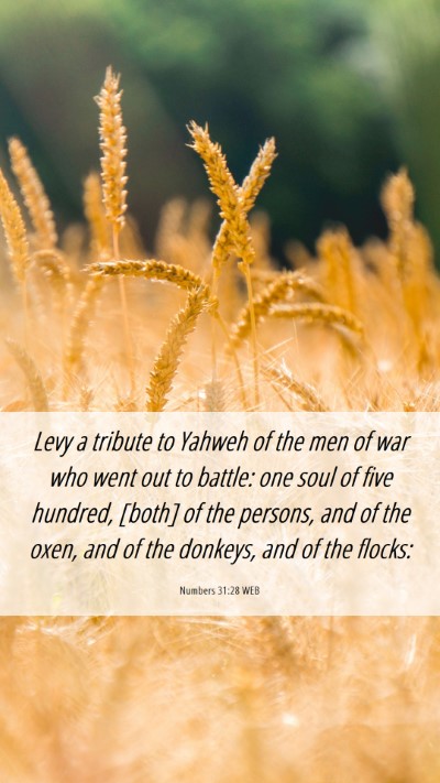 Picture 06 - Numbers 31:28 WEB Mobile Phone Wallpaper - Levy a tribute to Yahweh of the men of war who - Mobile Bible Verse Wallpaper