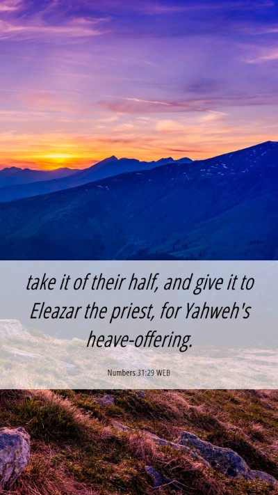 Picture 06 - Numbers 31:29 WEB Mobile Phone Wallpaper - take it of their half, and give it to Eleazar the - Mobile Bible Verse Wallpaper
