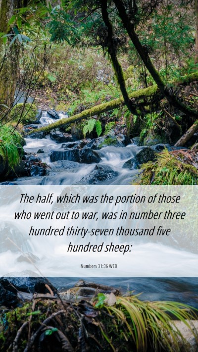 Picture 06 - Numbers 31:36 WEB Mobile Phone Wallpaper - The half, which was the portion of those who went - Mobile Bible Verse Wallpaper