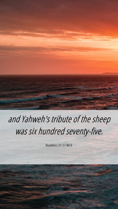 Picture 06 - Numbers 31:37 WEB Mobile Phone Wallpaper - and Yahweh's tribute of the sheep was six hundred - Mobile Bible Verse Wallpaper
