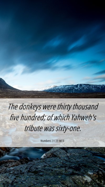 Picture 06 - Numbers 31:39 WEB Mobile Phone Wallpaper - The donkeys were thirty thousand five hundred; of - Mobile Bible Verse Wallpaper