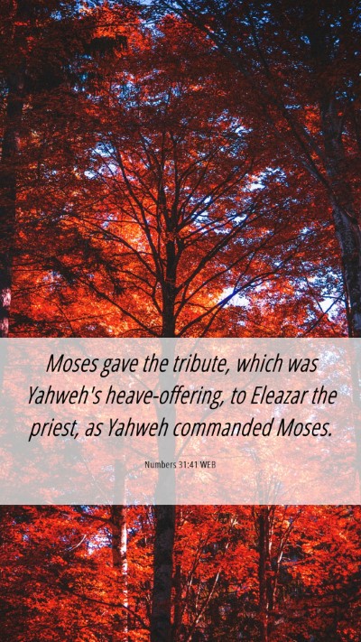 Picture 06 - Numbers 31:41 WEB Mobile Phone Wallpaper - Moses gave the tribute, which was Yahweh's - Mobile Bible Verse Wallpaper