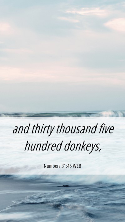 Picture 06 - Numbers 31:45 WEB Mobile Phone Wallpaper - and thirty thousand five hundred - Mobile Bible Verse Wallpaper