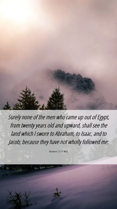 Picture 06 - Numbers 32:11 WEB Mobile Phone Wallpaper - Surely none of the men who came up out of Egypt, - Mobile Bible Verse Wallpaper