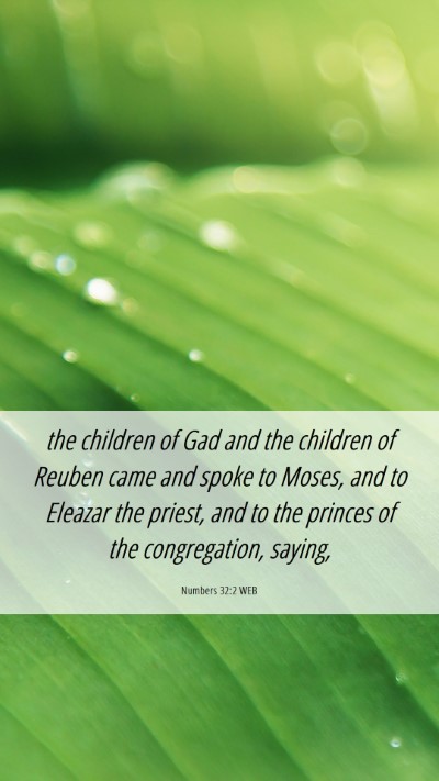 Picture 06 - Numbers 32:2 WEB Mobile Phone Wallpaper - the children of Gad and the children of Reuben - Mobile Bible Verse Wallpaper