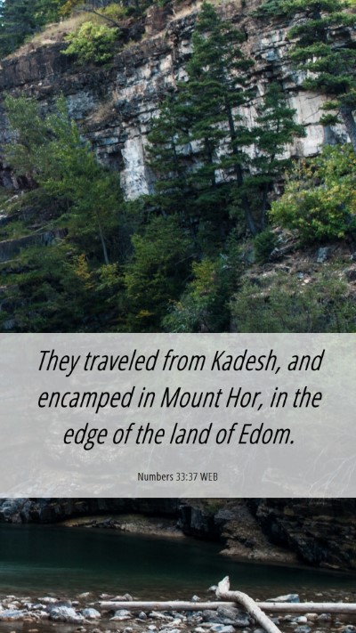 Picture 06 - Numbers 33:37 WEB Mobile Phone Wallpaper - They traveled from Kadesh, and encamped in Mount - Mobile Bible Verse Wallpaper