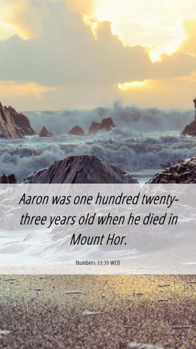 Picture 06 - Numbers 33:39 WEB Mobile Phone Wallpaper - Aaron was one hundred twenty-three years old when - Mobile Bible Verse Wallpaper