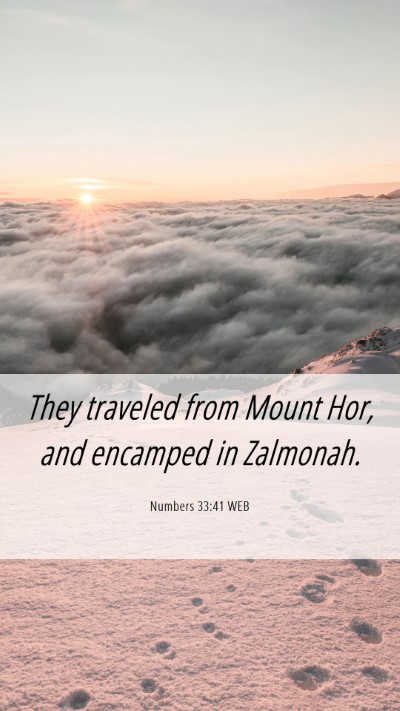 Picture 06 - Numbers 33:41 WEB Mobile Phone Wallpaper - They traveled from Mount Hor, and encamped in - Mobile Bible Verse Wallpaper