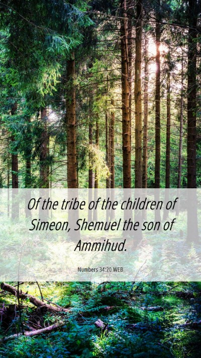 Picture 06 - Numbers 34:20 WEB Mobile Phone Wallpaper - Of the tribe of the children of Simeon, Shemuel - Mobile Bible Verse Wallpaper