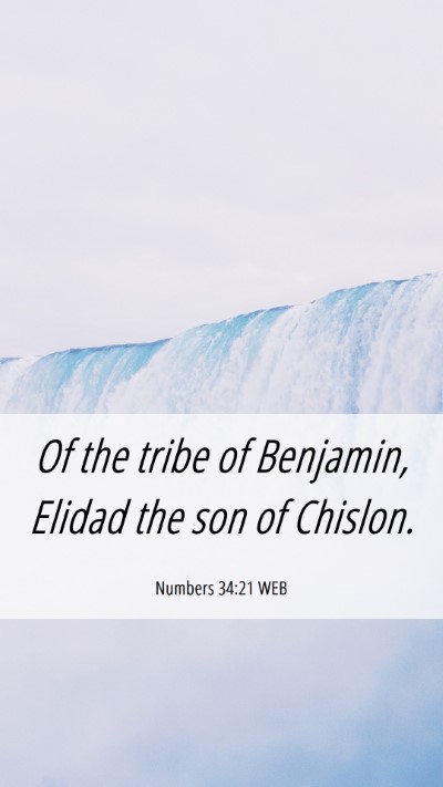 Picture 06 - Numbers 34:21 WEB Mobile Phone Wallpaper - Of the tribe of Benjamin, Elidad the son of - Mobile Bible Verse Wallpaper