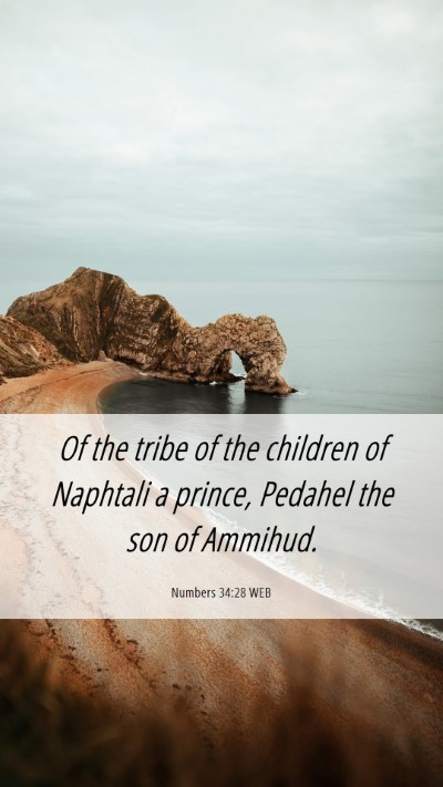 Picture 06 - Numbers 34:28 WEB Mobile Phone Wallpaper - Of the tribe of the children of Naphtali a - Mobile Bible Verse Wallpaper