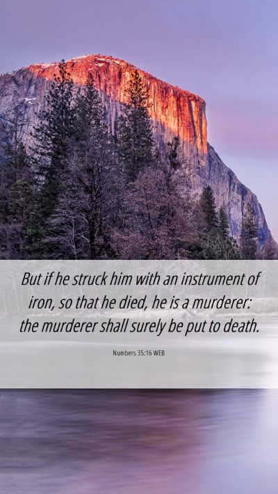 Picture 06 - Numbers 35:16 WEB Mobile Phone Wallpaper - But if he struck him with an instrument of iron, - Mobile Bible Verse Wallpaper