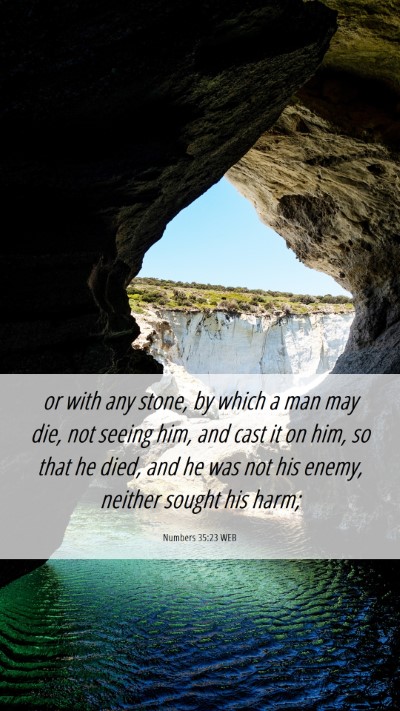 Picture 06 - Numbers 35:23 WEB Mobile Phone Wallpaper - or with any stone, by which a man may die, not - Mobile Bible Verse Wallpaper