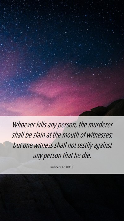 Picture 06 - Numbers 35:30 WEB Mobile Phone Wallpaper - Whoever kills any person, the murderer shall be - Mobile Bible Verse Wallpaper