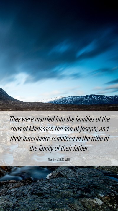 Picture 06 - Numbers 36:12 WEB Mobile Phone Wallpaper - They were married into the families of the sons - Mobile Bible Verse Wallpaper
