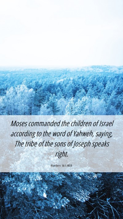 Picture 06 - Numbers 36:5 WEB Mobile Phone Wallpaper - Moses commanded the children of Israel according - Mobile Bible Verse Wallpaper