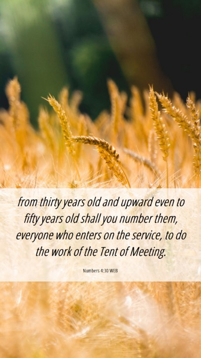 Picture 06 - Numbers 4:30 WEB Mobile Phone Wallpaper - from thirty years old and upward even to fifty - Mobile Bible Verse Wallpaper