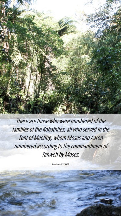 Picture 06 - Numbers 4:37 WEB Mobile Phone Wallpaper - These are those who were numbered of the families - Mobile Bible Verse Wallpaper