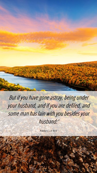 Picture 06 - Numbers 5:20 WEB Mobile Phone Wallpaper - But if you have gone astray, being under your - Mobile Bible Verse Wallpaper